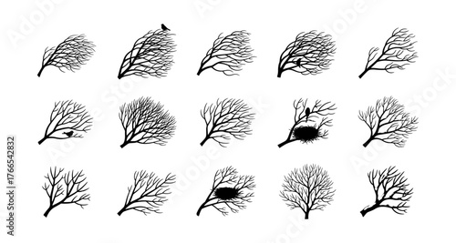 Diverse branch silhouettes with birds and nest for nature and design projects