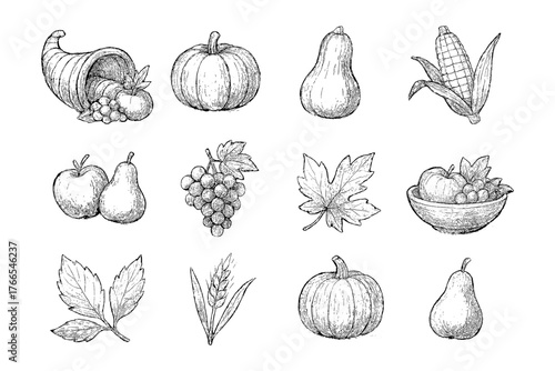 Hand drawn harvest elements featuring pumpkin, cornucopia, and autumn leaves