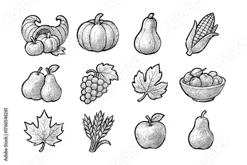 Hand drawn fall harvest collection featuring pumpkins, gourds, and autumn leaves