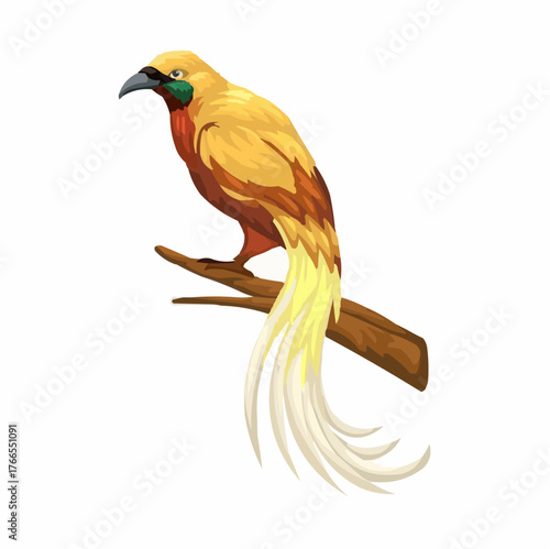 bird of paradise