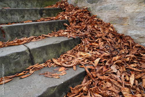 blown away by the wind