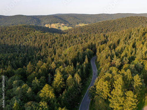 Road in woodland at sunset Poland