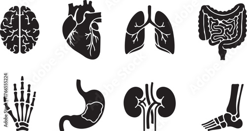 Collection of black silhouette icons representing human internal organs and skeletal parts