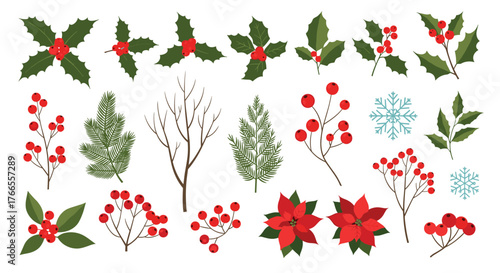 Collection of festive Christmas and winter botanical elements, featuring holly, red berries, pine branches, poinsettias, and delicate snowflakes.