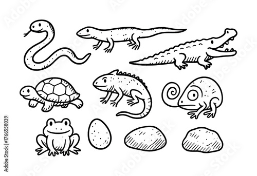 Vector Hand-drawn reptiles and amphibians: snake, lizard, crocodile, turtle, frog, egg