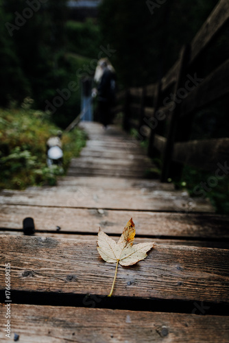 Metal suspension bridge in the Alps near Namlos, Tyrol – hiking trail through dense mountain forest across a deep gorge