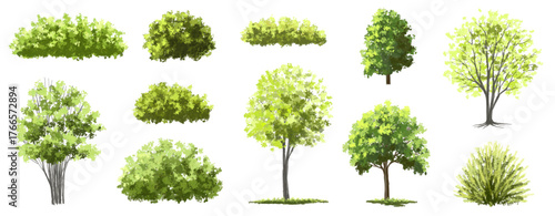 Vertor set of green tree,plants side view for landscape elevations,element for backdrop,eco environment concept design,watercolor greenery scene