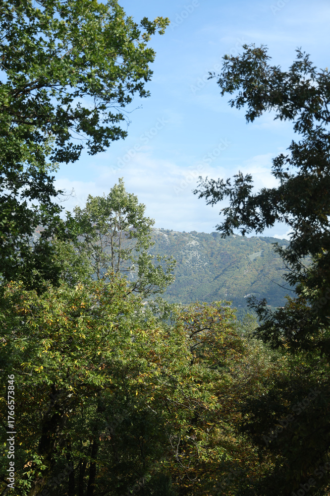 Obraz premium Il borgo di Montella in Irpinia Avellino