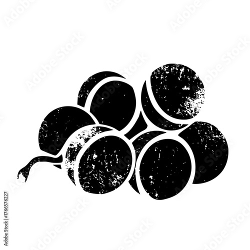 Grapes cluster botanical illustration