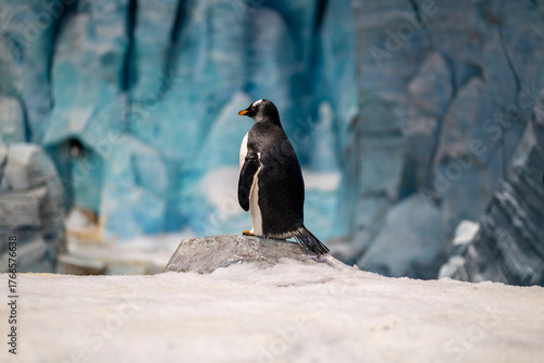  A Taste of Abu Dhabi - Sea World

