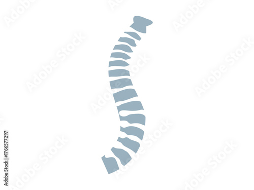 Bone Health Icon, Medical, Anatomy, and Wellness Symbol for Healthcare and Fitness Design