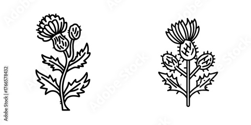 A minimalist style medicinal plant icon, the thistle is symbolized by the prickly purple burdock sign, which features sharp prickles on the margins of its leaves and inflorescence