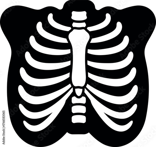 Human torso skeleton rib cage anatomy medical illustration icon vector