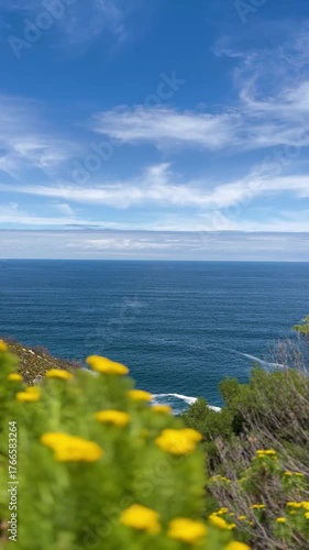 Ocean background, vertical video of the beautiful ocean view with blooming yellow flowers and fynbos outdoor at daytime during summer along the Chapman's Peak Drive near Cape Town in South Africa.