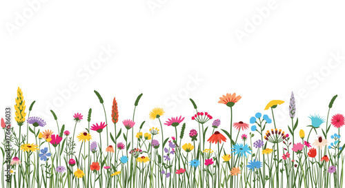 A vibrant border of colorful wildflowers in full bloom against a white background.