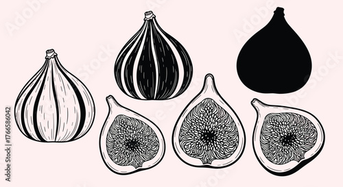 Collection of black and white illustrations of figs, including whole and halved fruits, on a light pink background.