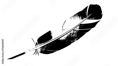 Feather floats texture