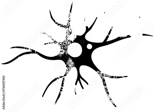 Neuron Illustrates Connectivity in Biological Research