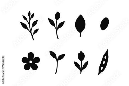 Elegant collection of floral silhouettes featuring leaves, flowers, and buds