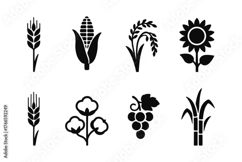 Silhouette icons of popular crops: wheat, corn, rice, sunflower, cotton, grapes, sugarcane