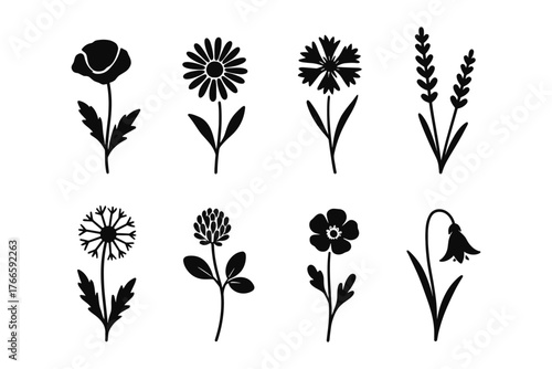 Botanical silhouettes: elegant floral designs in black and white
