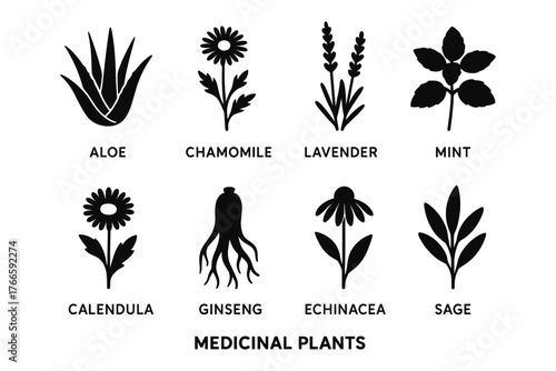 Silhouette herbal icons: aloe, chamomile, lavender, mint, more medicinal plants