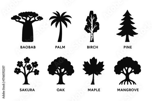 Silhouette set of different tree species with labels in black and white