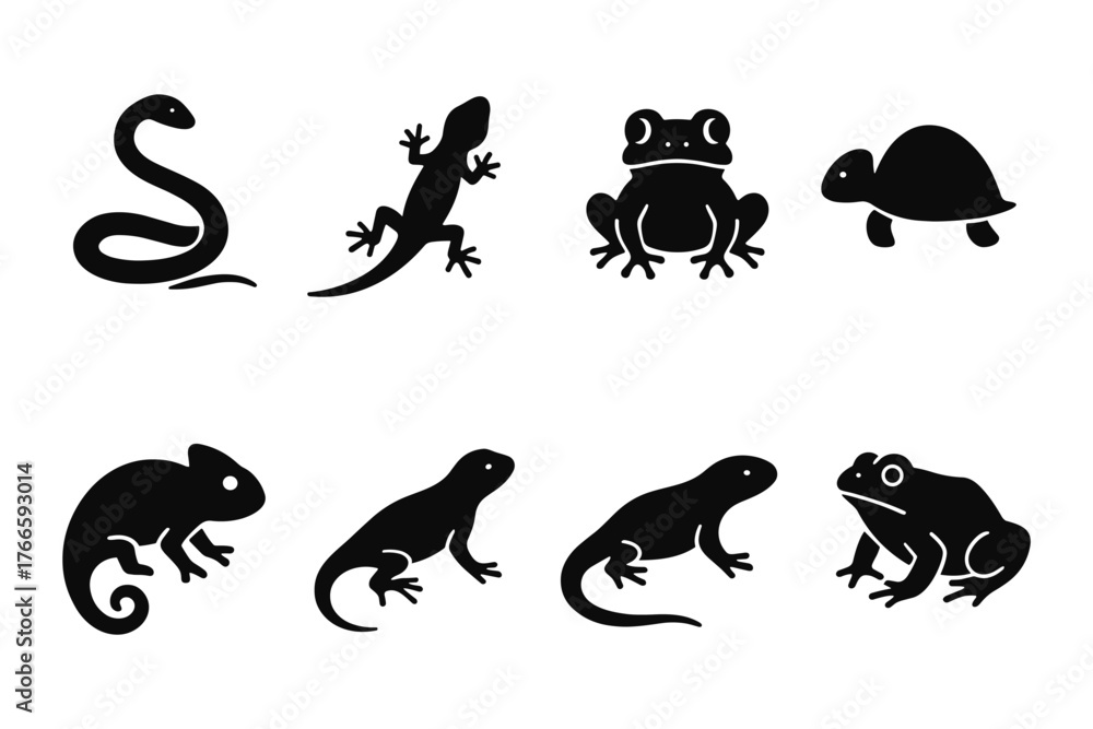 Obraz premium Silhouette reptiles and amphibians: snakes, lizards, frogs, and turtles