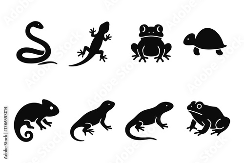 Silhouette reptiles and amphibians: snakes, lizards, frogs, and turtles