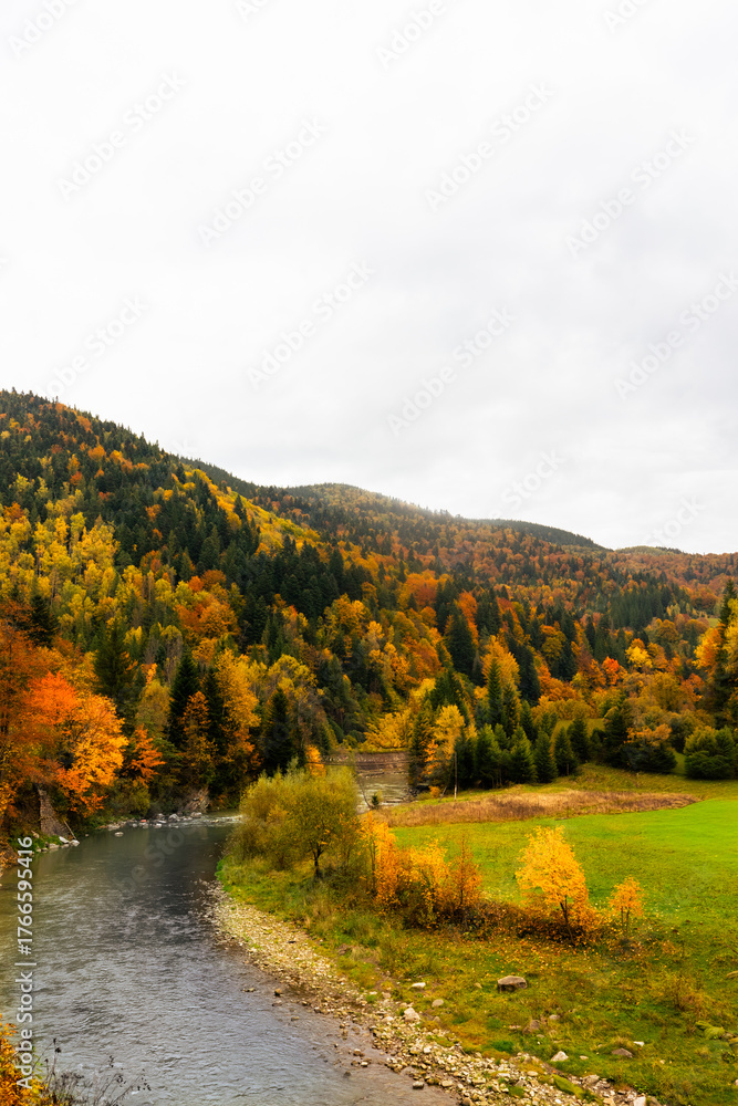 Naklejka premium silhouettes of peaks, beautiful autumn mountain landscape, golden autumn, yellow trees and fog, layers of slopes