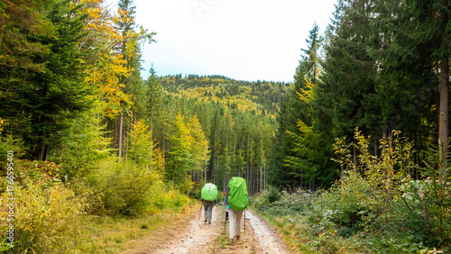 Female tourists with large backpacks walk along a trail against the backdrop of mountains and autumn forest, travelling and hiking in the mountains