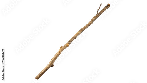 Long thin stick lying on a flat surface ready for crafting or outdoor play in a natural setting during daylight on a transparent background