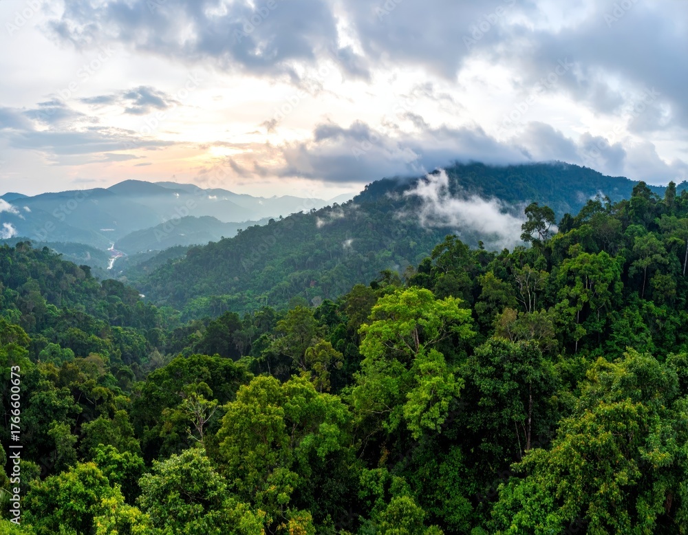 Naklejka premium banner background of tropical forest landscape scene