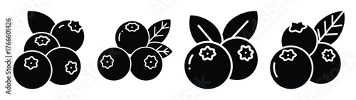 blueberry minimal flat icon set, black color and white background