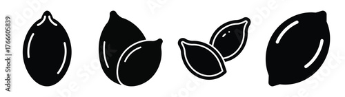 pumpkin seed minimal icon set, black color and white background