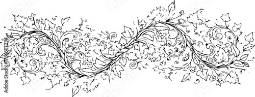 Elegant vine flourish with swirling leaves and delicate floral accents creating a decorative border for sophisticated design projects