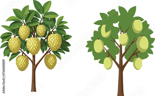 Durian tree illustration, mango tree drawing, tropical fruit trees, spiky yellow fruit, smooth green fruit, garden foliage, nature art, orchard design