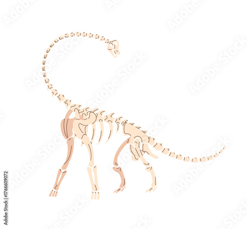 Diplodocus skeleton. Brachiosaurus remains. Bones of dinosaur, ancient fossil of dino for exposition. Exhibit on display in paleontology museum. Flat isolated vector illustration on white background