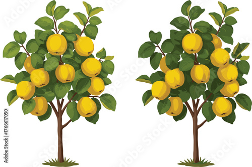 Fruit trees illustration, yellow fruit canopy, green foliage, stylized nature, lemon tree artwork, garden design, plant growth, agriculture, harvest, comparison