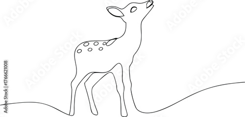 Black and white line drawing of a fawn looking up deer