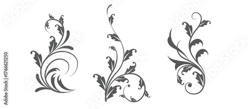 Flourish design elements. Floral leaves line art isolated on white background. Divider doodle leaf and flowers, nature border decorative element vector illustration.