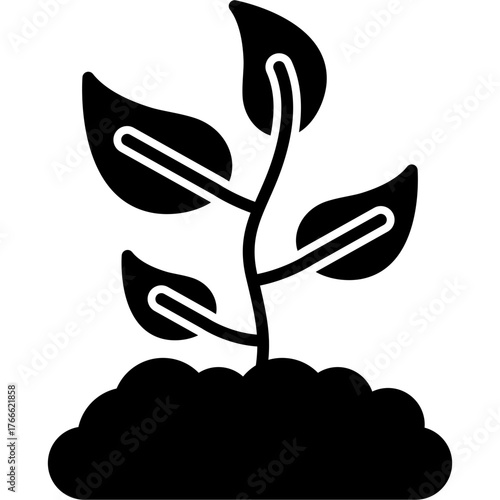 Sprout Icon