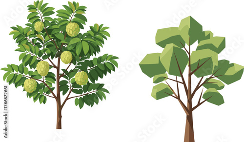 Realistic fruit tree, stylized tree illustration, tropical foliage, botanical contrast, nature art, agriculture concept, garden design, green leaves, comparison, abstract