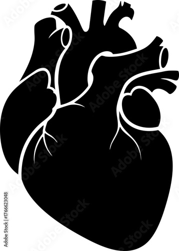 Human organ, anatomy icon set. Vector glyph pictograms of brain, heart, lungs, liver, stomach, intestine, kidney medical, healthcare, and biology concept black silhouette illustration.