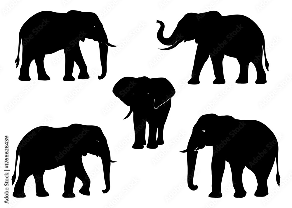 Fototapeta premium A set of five black and white elephant silhouettes. The elephants are all facing the same direction. Vector. Silhouette illustration.