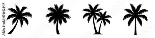 Four black and white images of palm trees. The trees are all different sizes and are all facing different directions. Vector. Silhouette illustration.