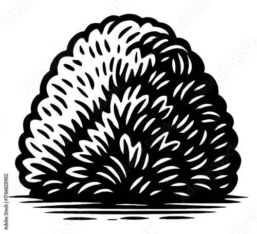 A black and white drawing of a bush with a lot of leaves. The bush is very large and has a lot of detail. Vector. Silhouette illustration.
