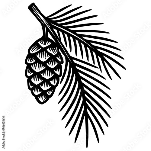 A black and white drawing of a pine tree branch with a pinecone on it. The pinecone is the main focus of the image. Vector. Silhouette illustration.