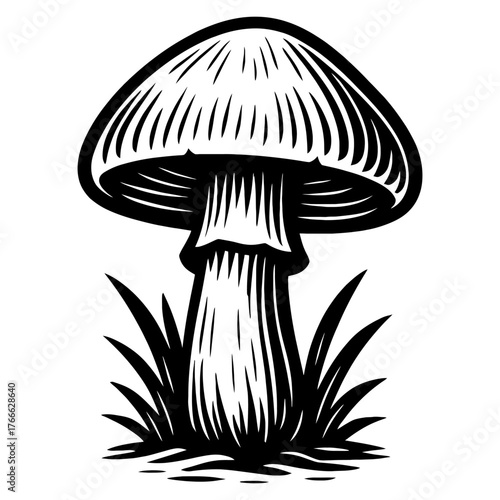 A black and white drawing of a mushroom. The mushroom is sitting on the grass and has a stem. Vector. Silhouette illustration.