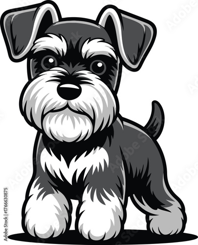 Cute cartoon a illustrator vector Schnauzer